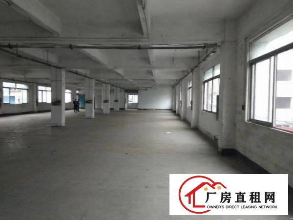
		新出独门独院标准厂房6600平方形象漂亮
	