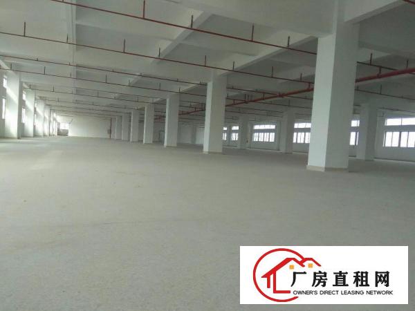 
		独院标准厂房9000平方，形象好交通便利
	