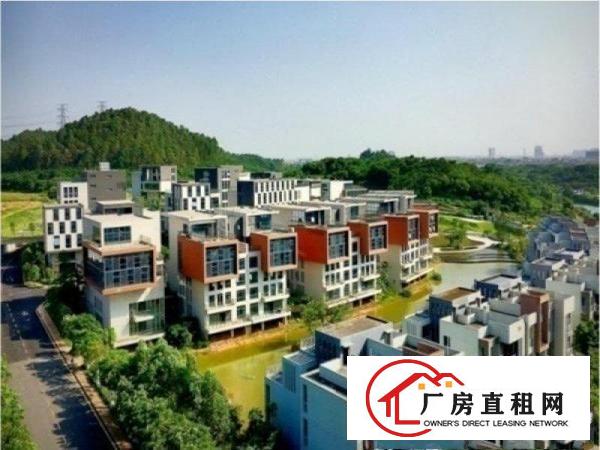 
		一线大路边、高端写字楼、番禺石楼300方办公楼出租
	