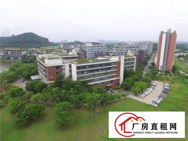 
		一线大路边、高端写字楼、番禺石楼300方办公楼出租
	