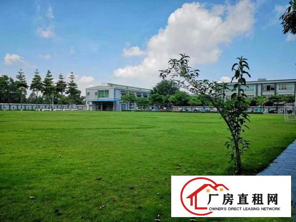 
		国有证原房东独院出租
	