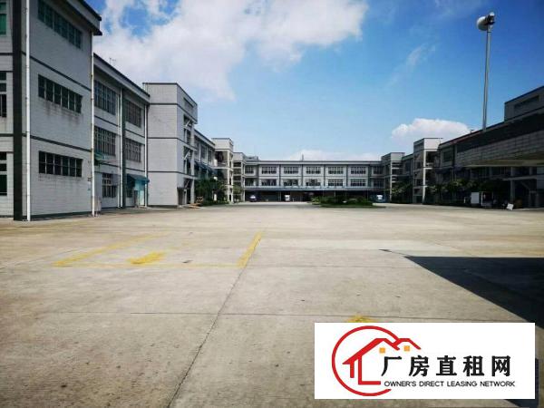 
		国有证原房东独院出租
	