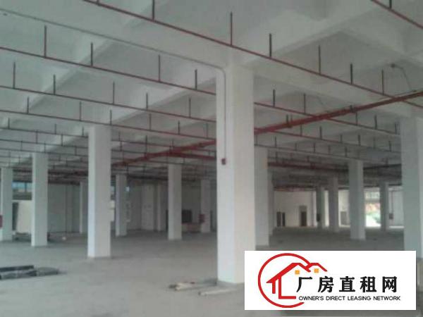 
		厚街镇新出9层全新面积达24000方可整租或分租
	
