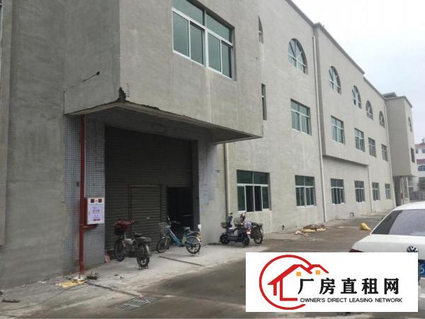 
		标准1楼招租，水电线路齐全
	