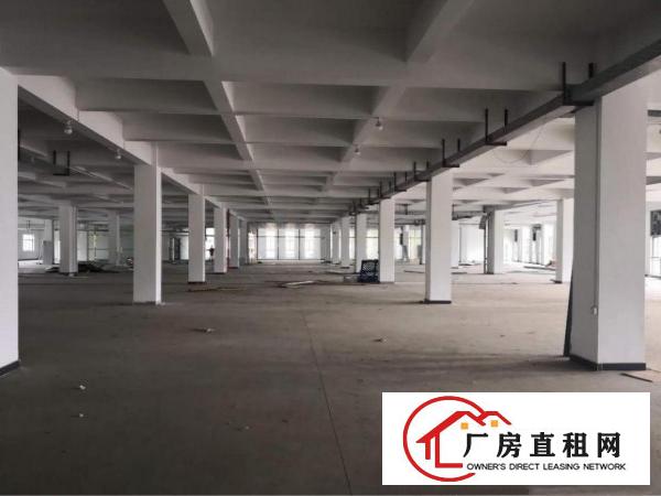 
		标准1楼招租，水电线路齐全
	