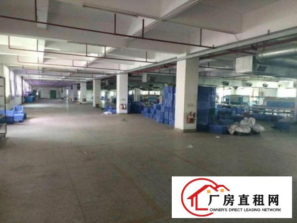 
		厚街白濠独院标准带消防喷淋可办环评厂房招租
	