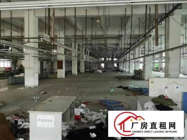 
		滴水6米单一层独院厂房招租
	