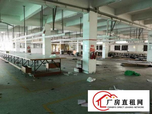 
		滴水6米单一层独院厂房招租
	