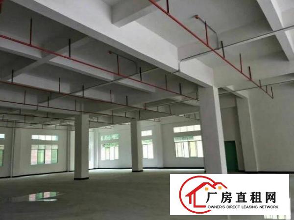 
		厚街镇新出独门独院厂房位置好价格合理原房东招租
	