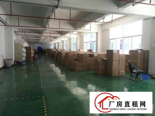 
		凤岗金凤凰二楼带消防喷淋，地坪漆厂房出租1050平
	