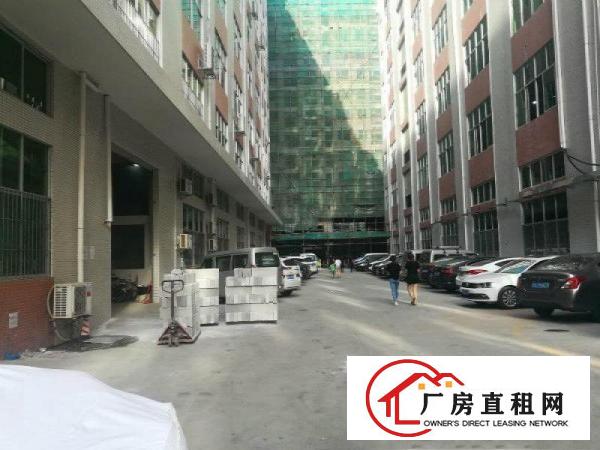 
		凤岗金凤凰二楼带消防喷淋，地坪漆厂房出租1050平
	