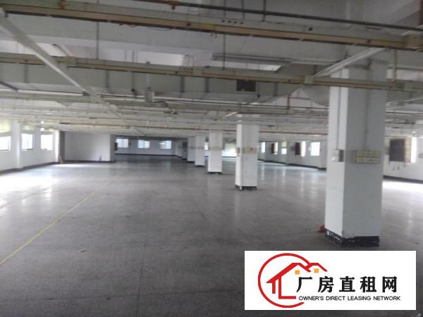 
		厚街新出标准两层独院3600平方，无公摊
	