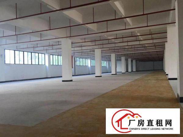 
		新塘村新出3层商业楼，可分租
	