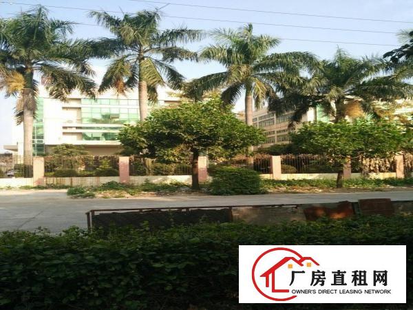
		独院分租一楼豪华装修1500平方米
	