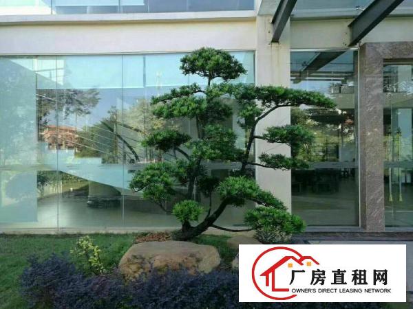 
		东城独院厂房出租花园式
	