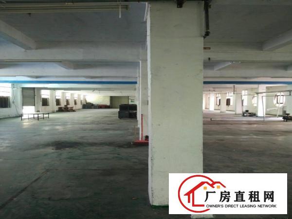 
		标准额厂房分租一楼，空地大
	