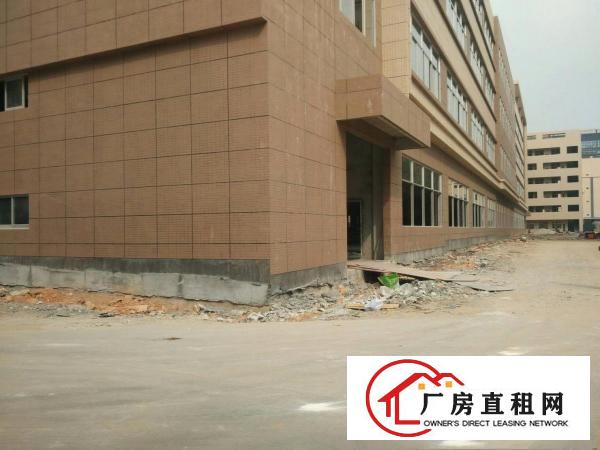 
		东城标准全新厂房带国土证，红本，20万平米，全新，
	