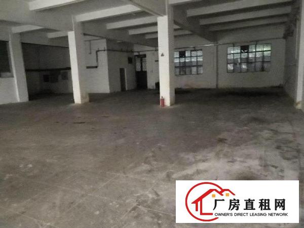 
		寮步横坑标准独院厂房分租1楼1200火热招租
	
