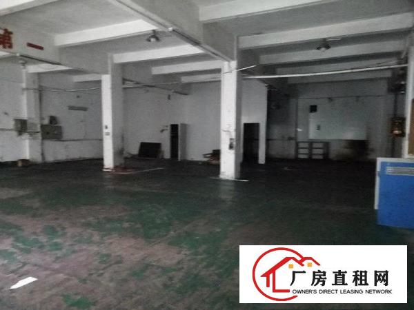 
		寮步横坑标准独院厂房分租1楼1200火热招租
	