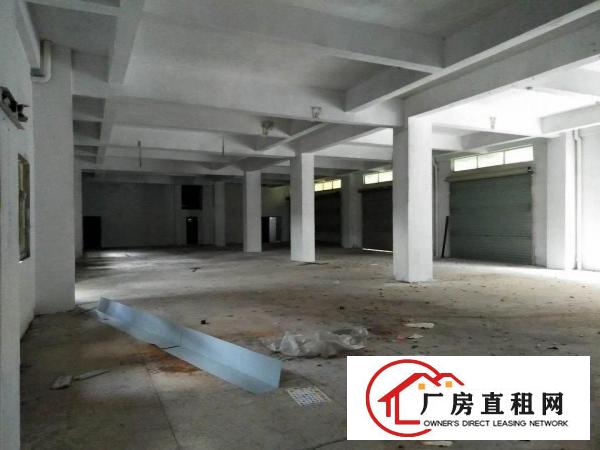 
		常平新出标准厂房单层980平方
	