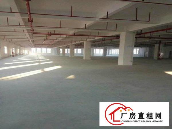 
		东城温塘全新标准厂房共5000平方，10元急租
	