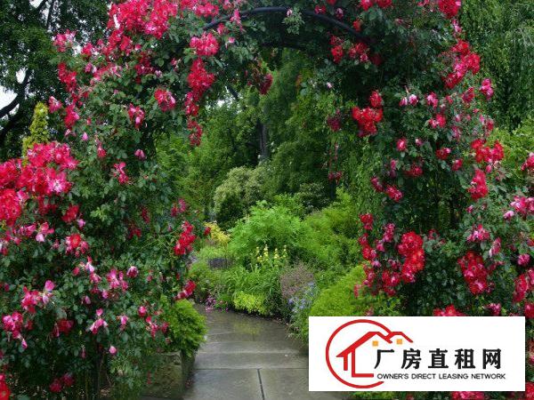 
		东城峡口花园式独院单一层厂房1500平方,环境优美
	