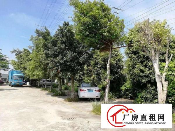 
		豪华装修办公楼1000平方出租
	