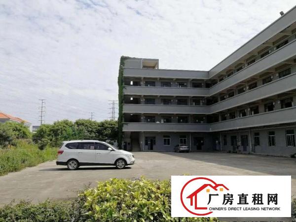 
		豪华装修办公楼1000平方出租
	