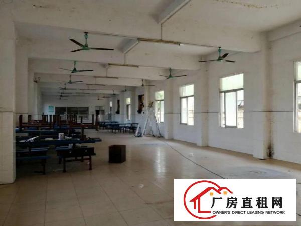 
		豪华装修办公楼1000平方出租
	