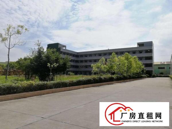 
		豪华装修办公楼1000平方出租
	