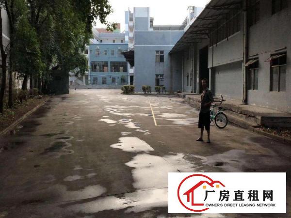 
		南城独院单一层厂房11000平方出租
	
