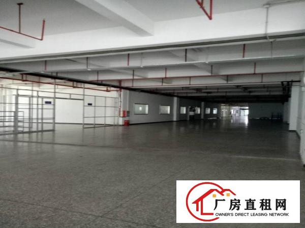 
		东莞市中心厂房，超低价出售，带消防喷淋，地下停车场
	