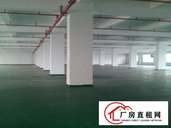 
		南城独院厂房出租共5000平方，形象好
	