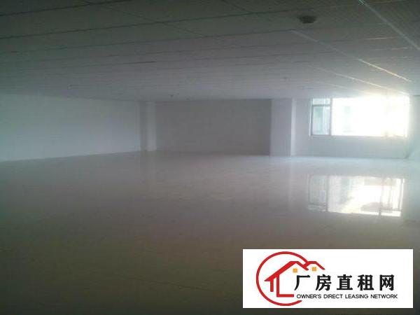
		南城经典独院厂房700平方出租,形象好.租金便宜
	