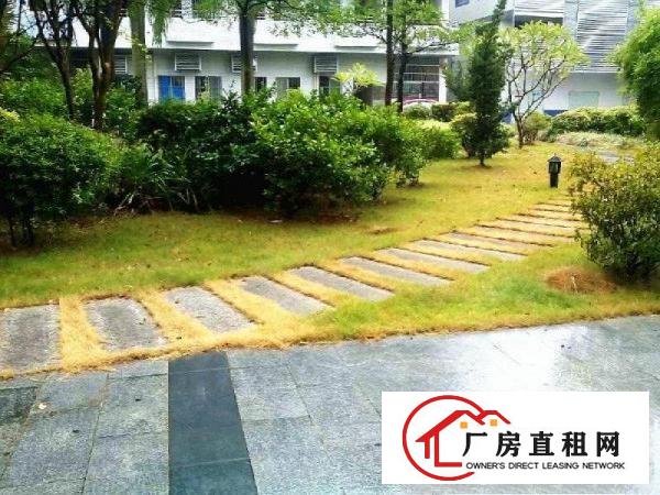 
		南城白马办公,贸易，培训，电子商务场地分租400平
	