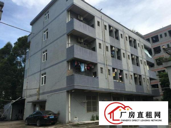 
		洪梅镇洪金南路.98新厂房5000平方火热招租！
	