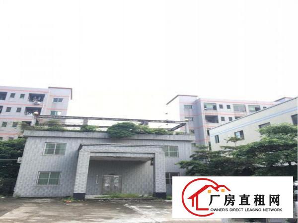 
		红梅洪金南路轻轨出口处超新厂房火热招租。
	