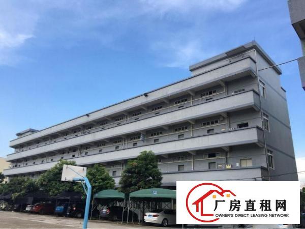 
		红梅洪金南路轻轨出口处超新厂房火热招租。
	