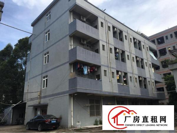 
		红梅洪金南路轻轨出口处超新厂房火热招租。
	