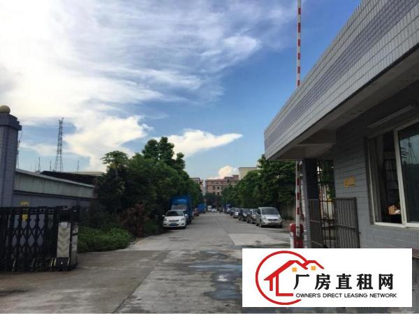 
		红梅洪金南路轻轨出口处超新厂房火热招租。
	