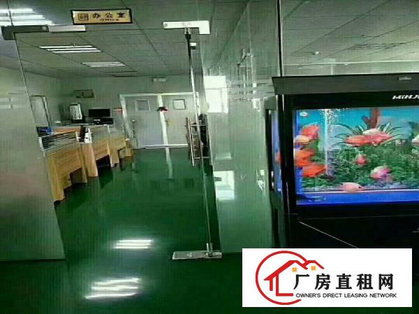 
		凤岗雁田精装修厂房出租
	