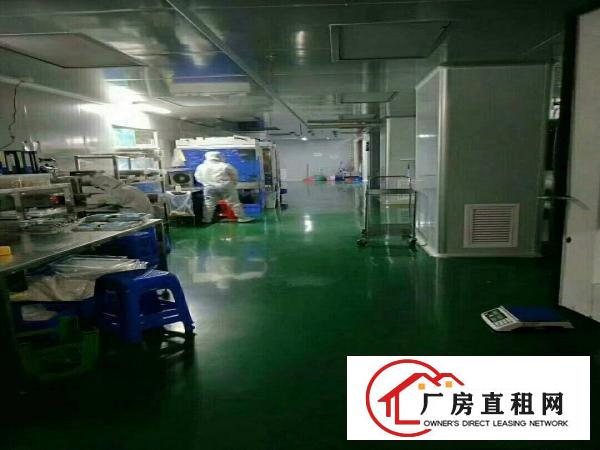 
		凤岗雁田精装修厂房出租
	
