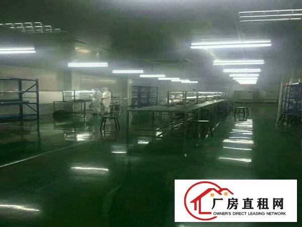 
		凤岗雁田精装修厂房出租
	
