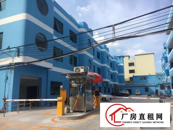 
		沙巷院南路厂房出租
	