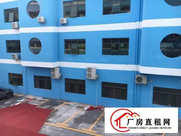 
		沙巷院南路厂房出租
	