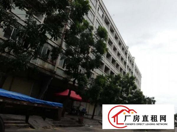 
		广州新塘地铁口10分钟厂房60000平米
	