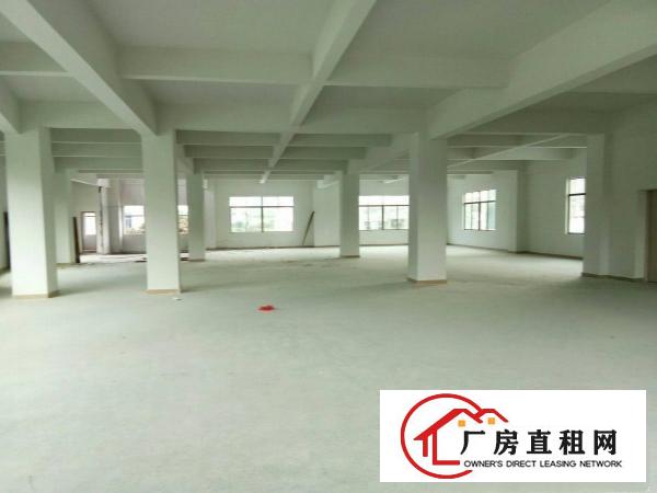 
		大朗标准厂房出租价格实惠
	