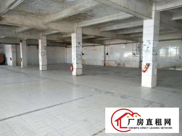 
		东莞市石排镇水贝村厂房招租
	