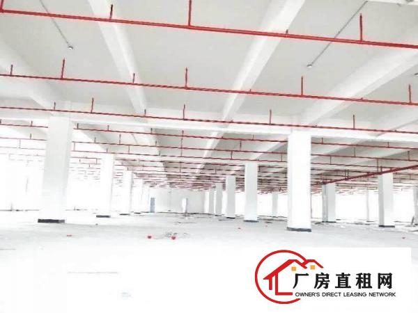 
		常平外观形象超靓标准独院21800平米电梯3吨
	
