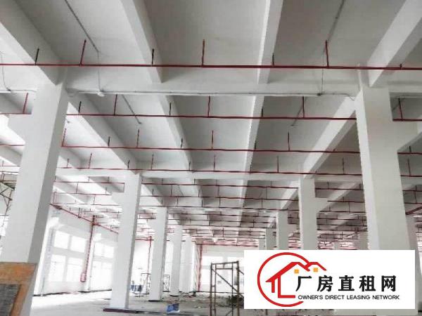 
		常平外观形象超靓标准独院21800平米电梯3吨
	